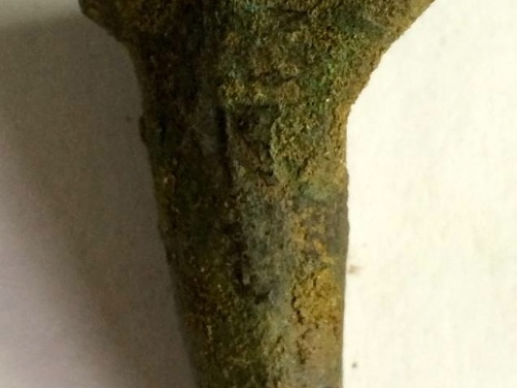 Bronzen poot van een grape