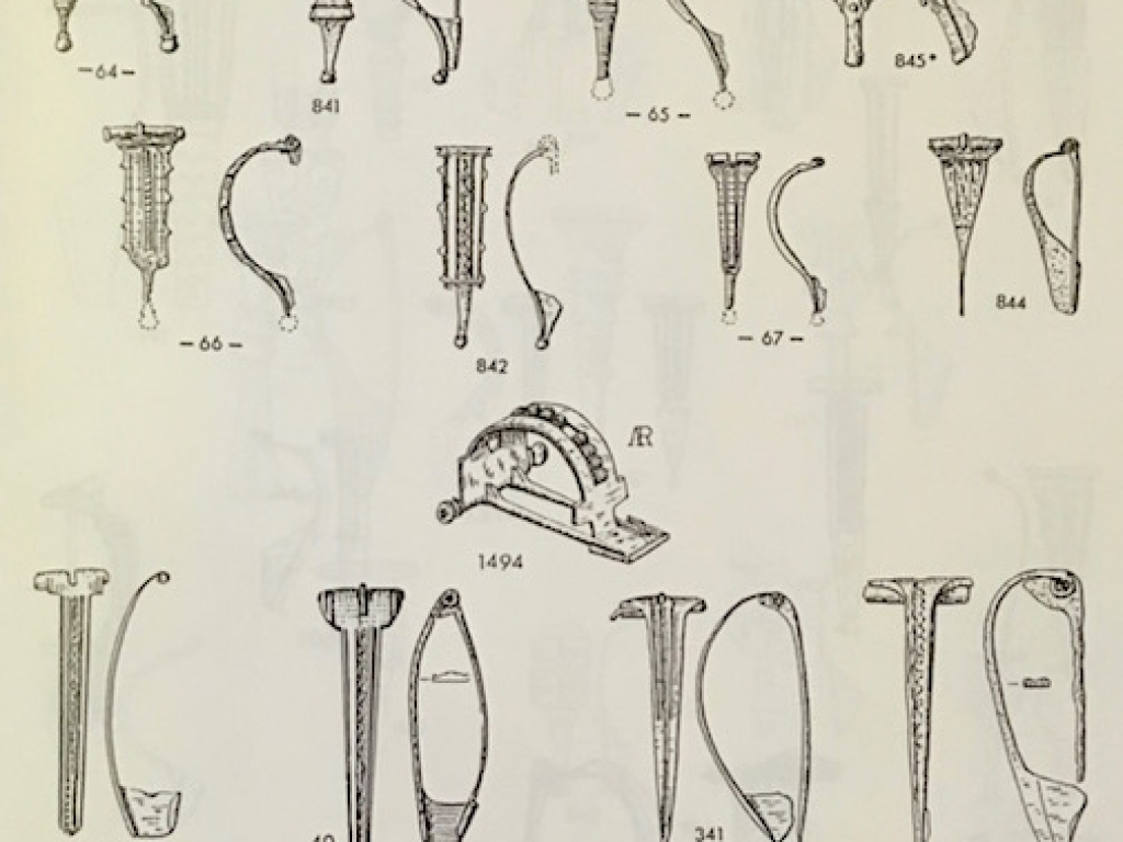 Derivatieve Aucissa fibulae